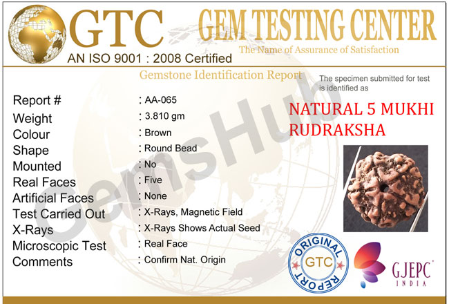 5 Mukhi Natural Certified Rudraksha Size- 20.70 mm Premium